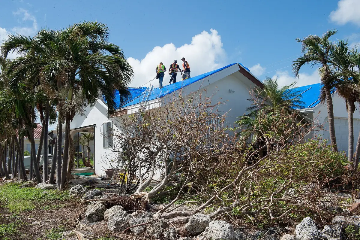Coastal Florida home with palm trees and blue emergency roof tarps after hurricane damage — Gulf Breeze roof tarping and Pensacola Beach storm repair